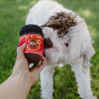 Dog & Cat Toy - Soft Pick